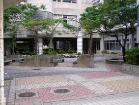 中庭?給食室の隣にあった?素敵な庭でしたよね・・・